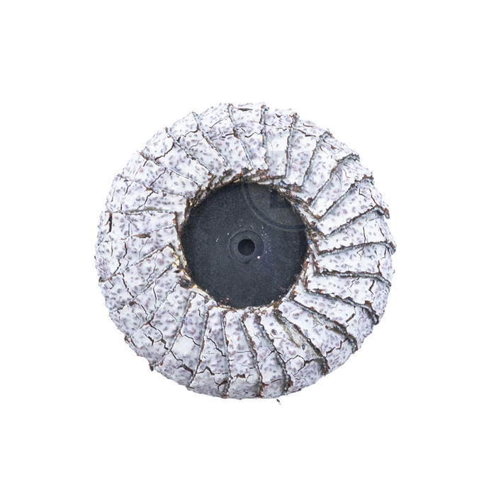 2" Curved Quick Change Flap Discs For Aluminum – 1 Piece