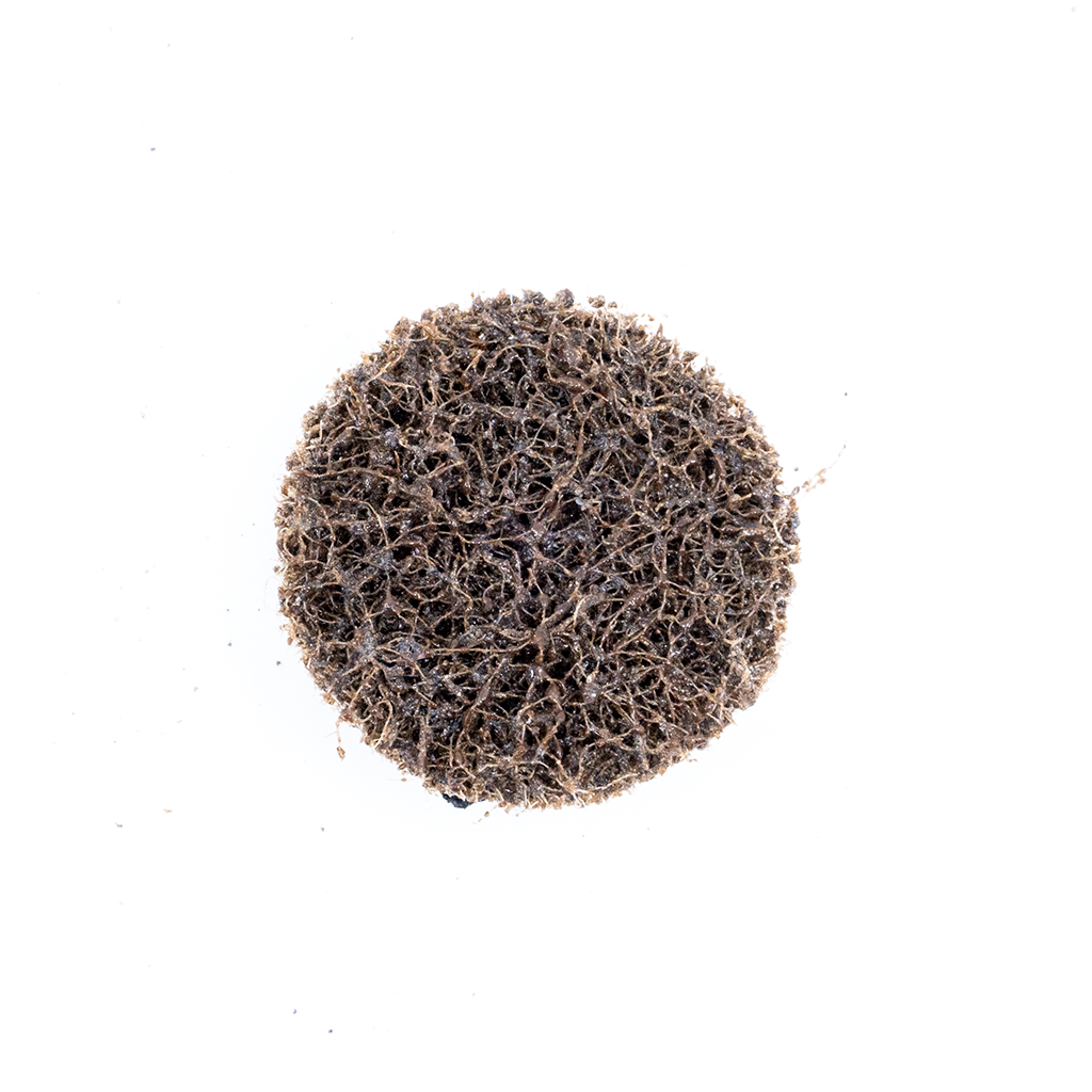 1 1 2" Surface Conditioning Quick Change Discs 25 Pack